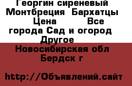 Георгин сиреневый. Монтбреция. Бархатцы.  › Цена ­ 100 - Все города Сад и огород » Другое   . Новосибирская обл.,Бердск г.
